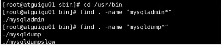 image-20230124193002042