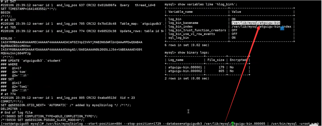 image-20220209225634559