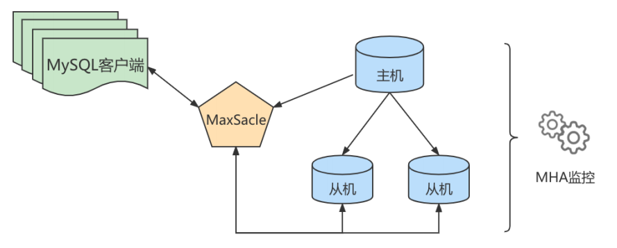 image-20230129171627664