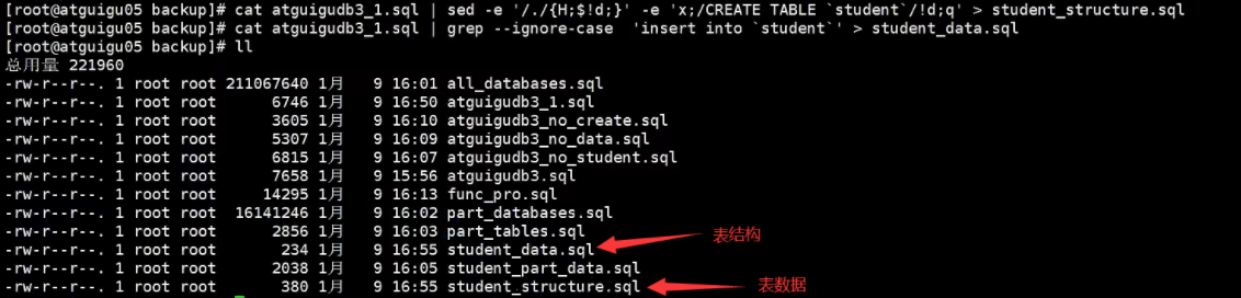 image-20230129172145260