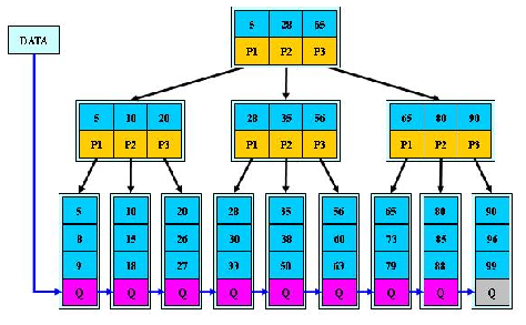 image-20211219173823083