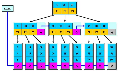 image-20211219173900243